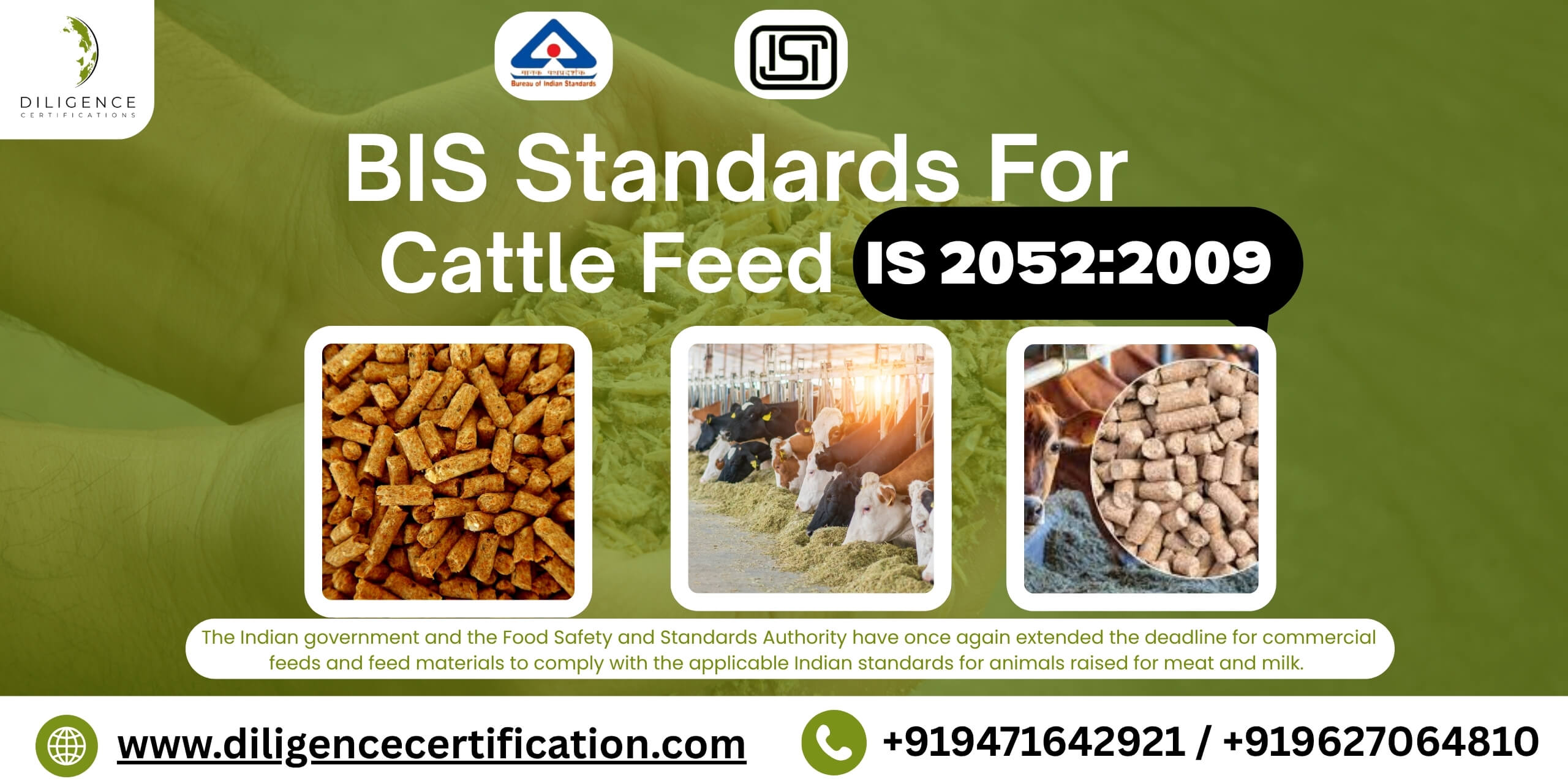 bis standards for cattle feed