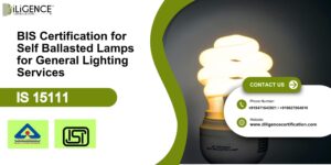 Self Ballasted Lamps