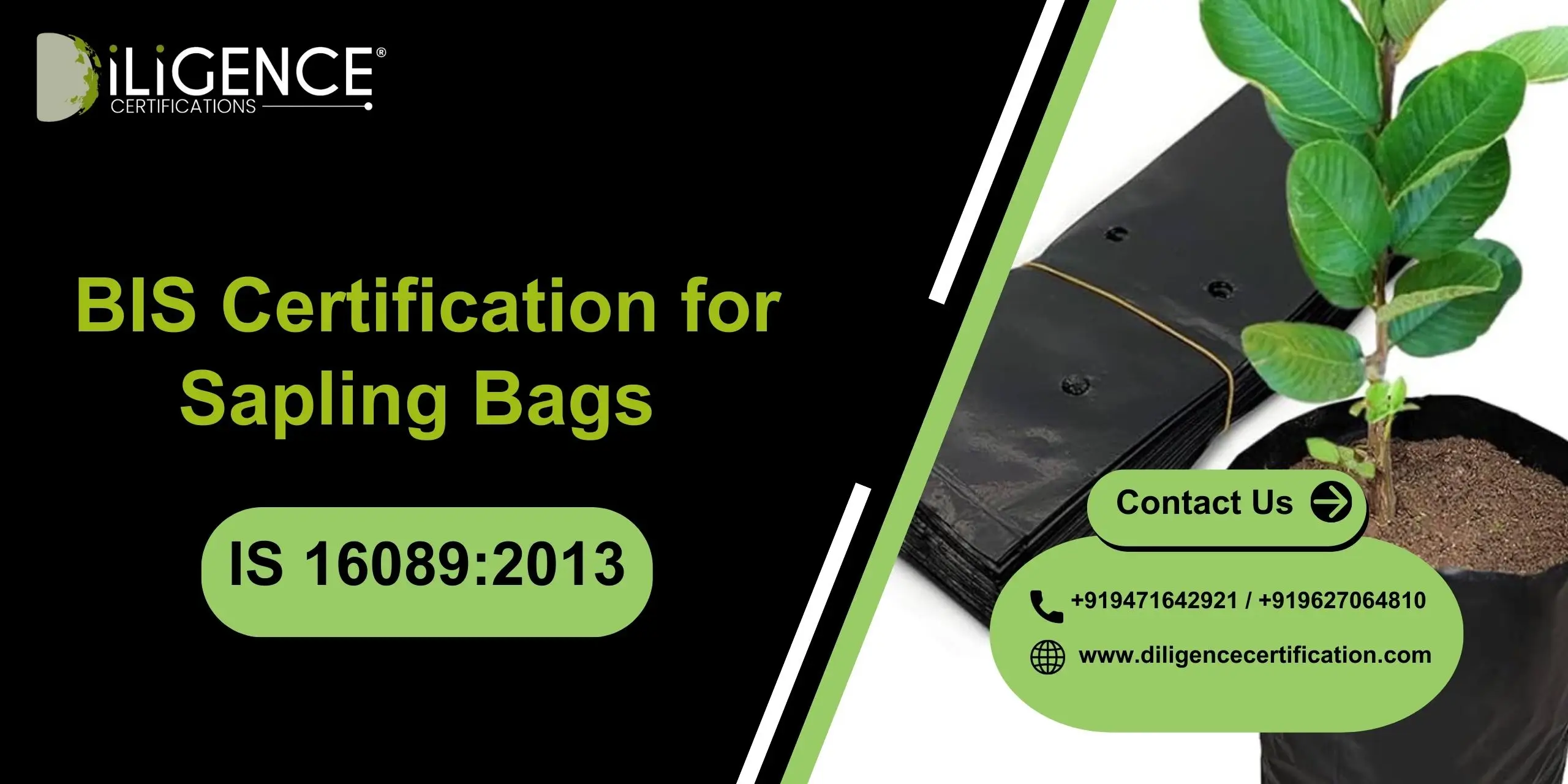 BIS Certification for Sapling Bags
