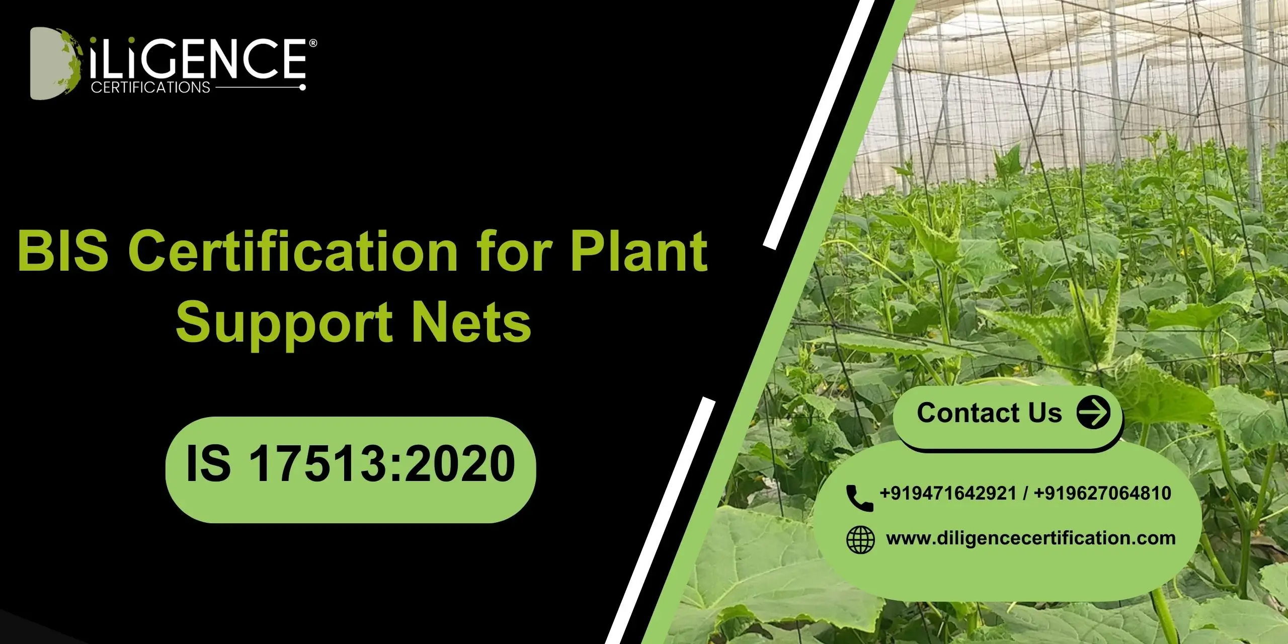 BIS for Plant Support Nets