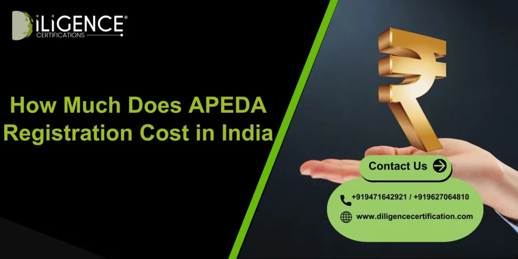 How Much Does APEDA Registration Cost in India