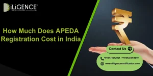 How Much Does APEDA Registration