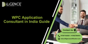 WPC Application Consultant