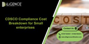 CDSCO Costs for Small Businesses