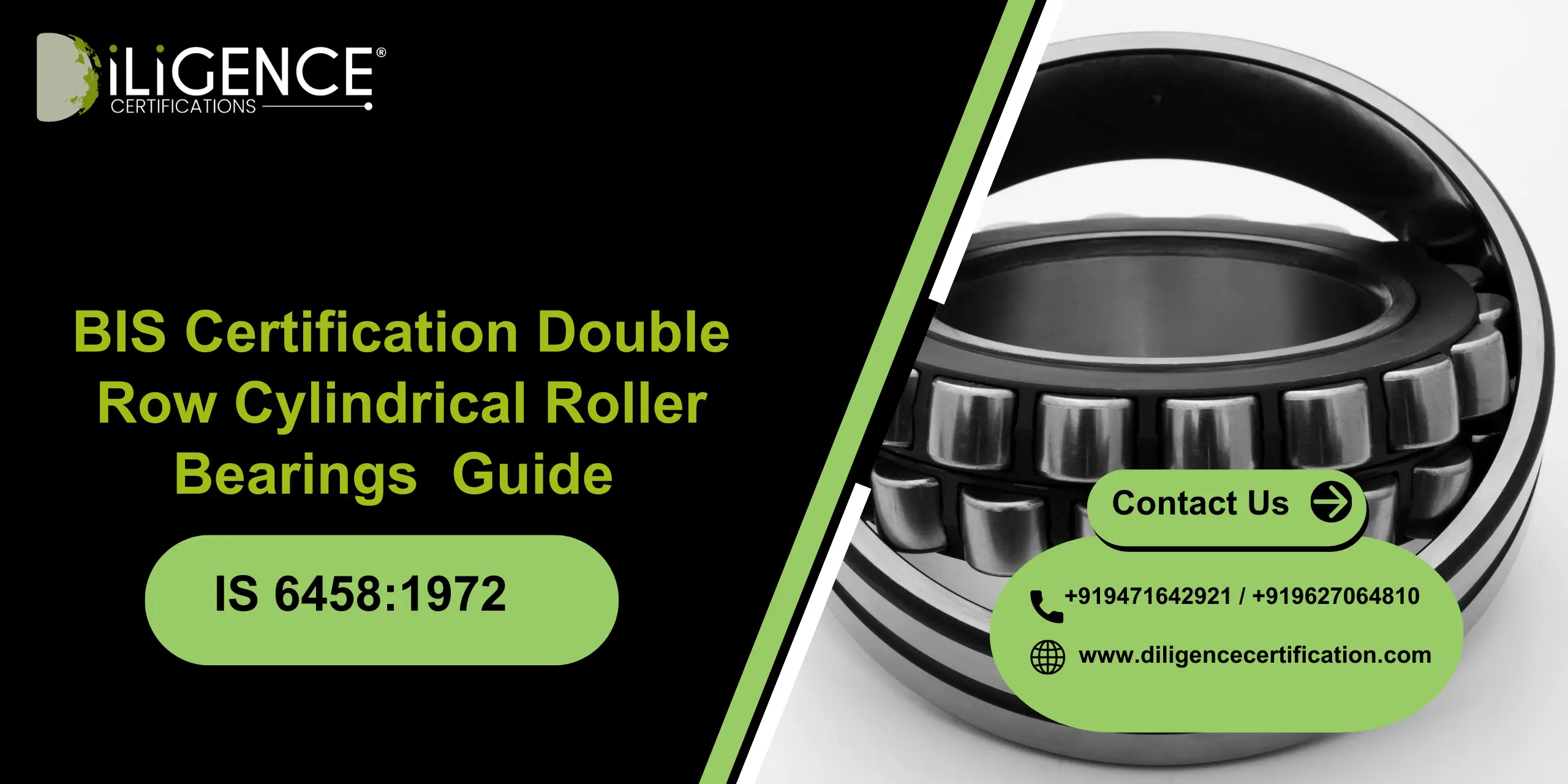 BIS Certification Double Row Cylindrical Roller