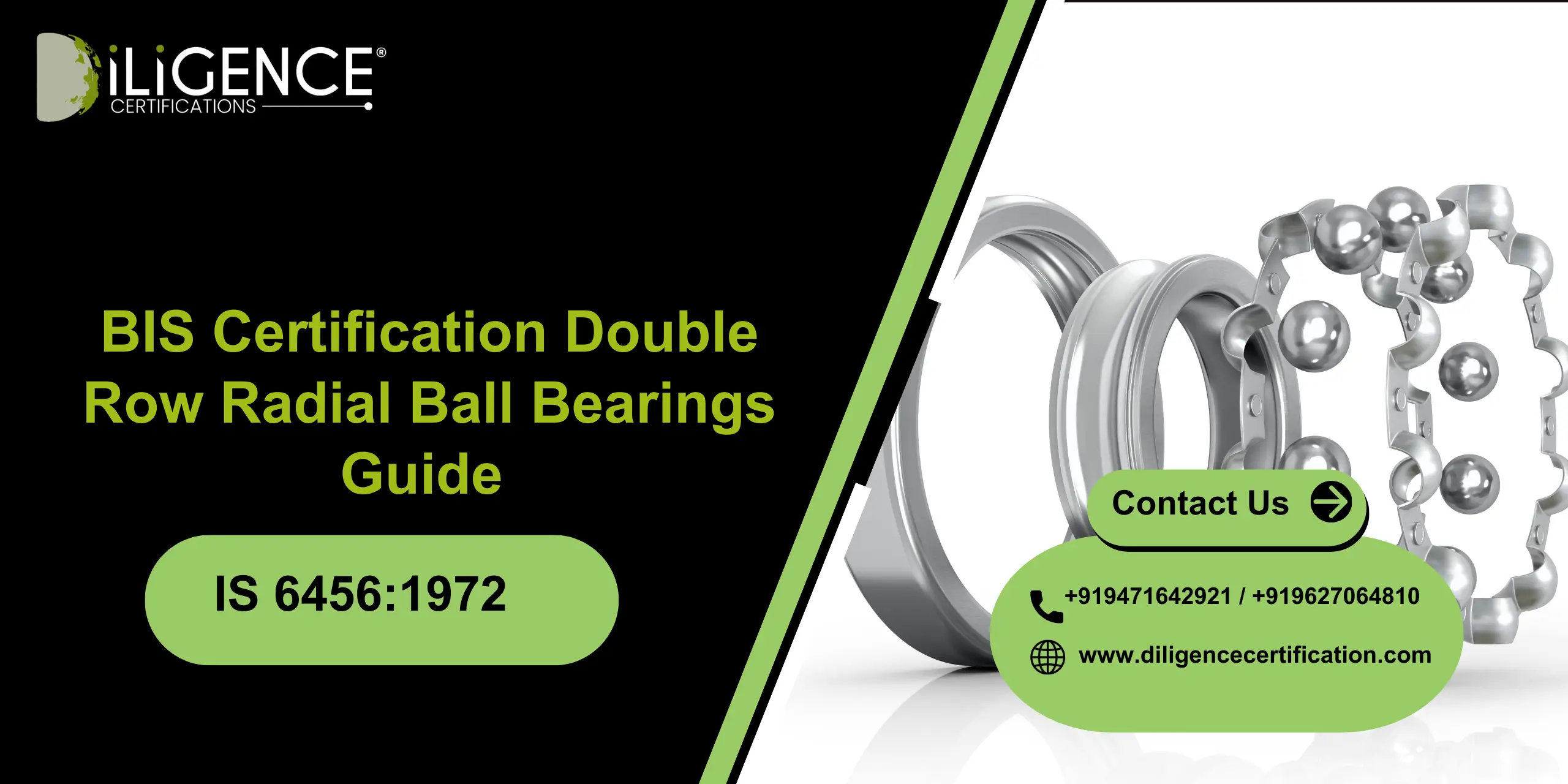 Double Row Radial Ball Bearings