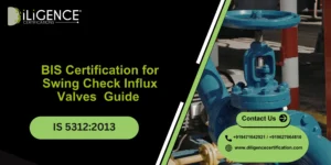 Swing Check Influx Valves