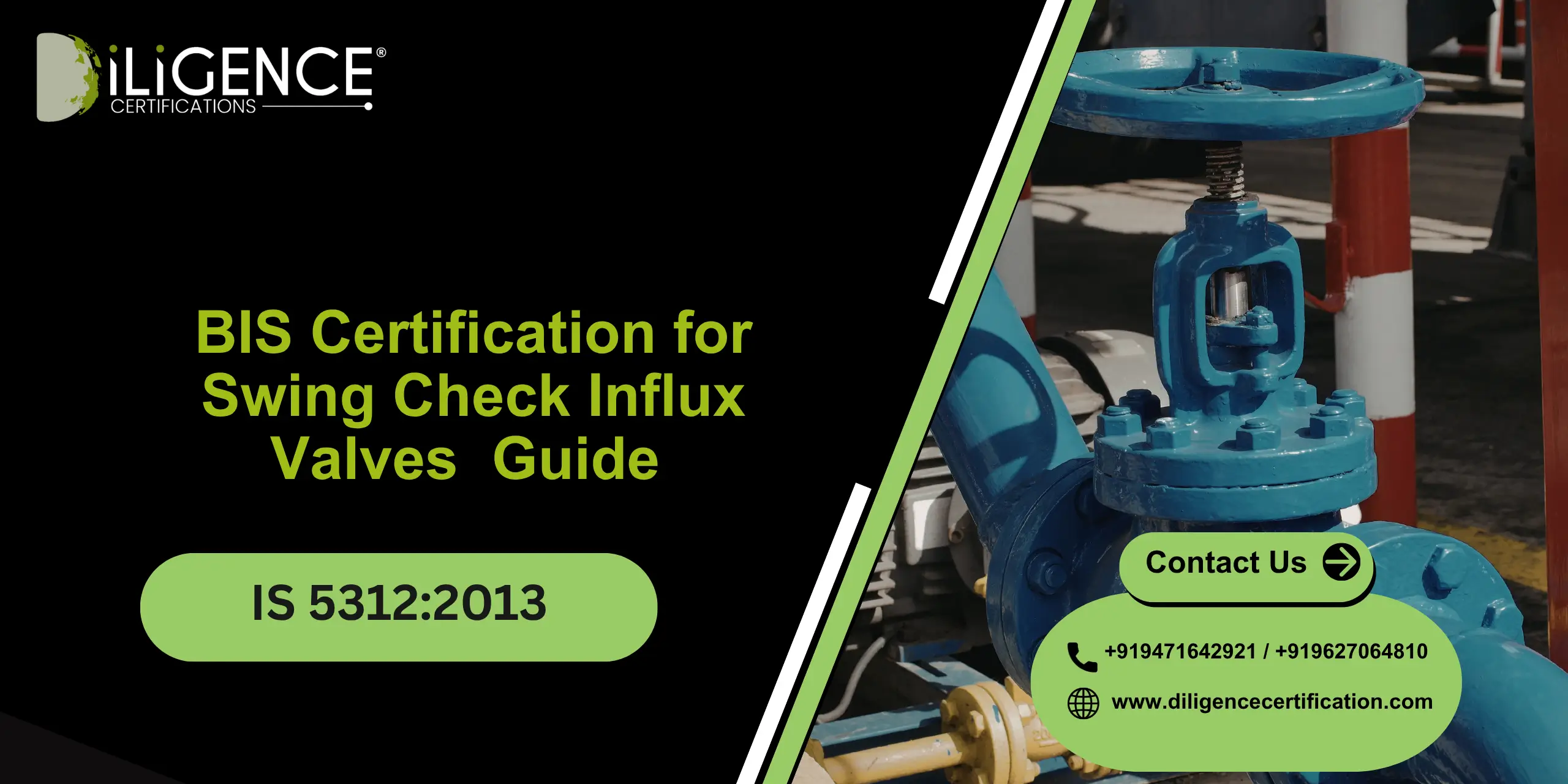 Swing Check Influx Valves