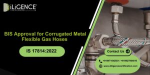 BIS approval for gas hoses
