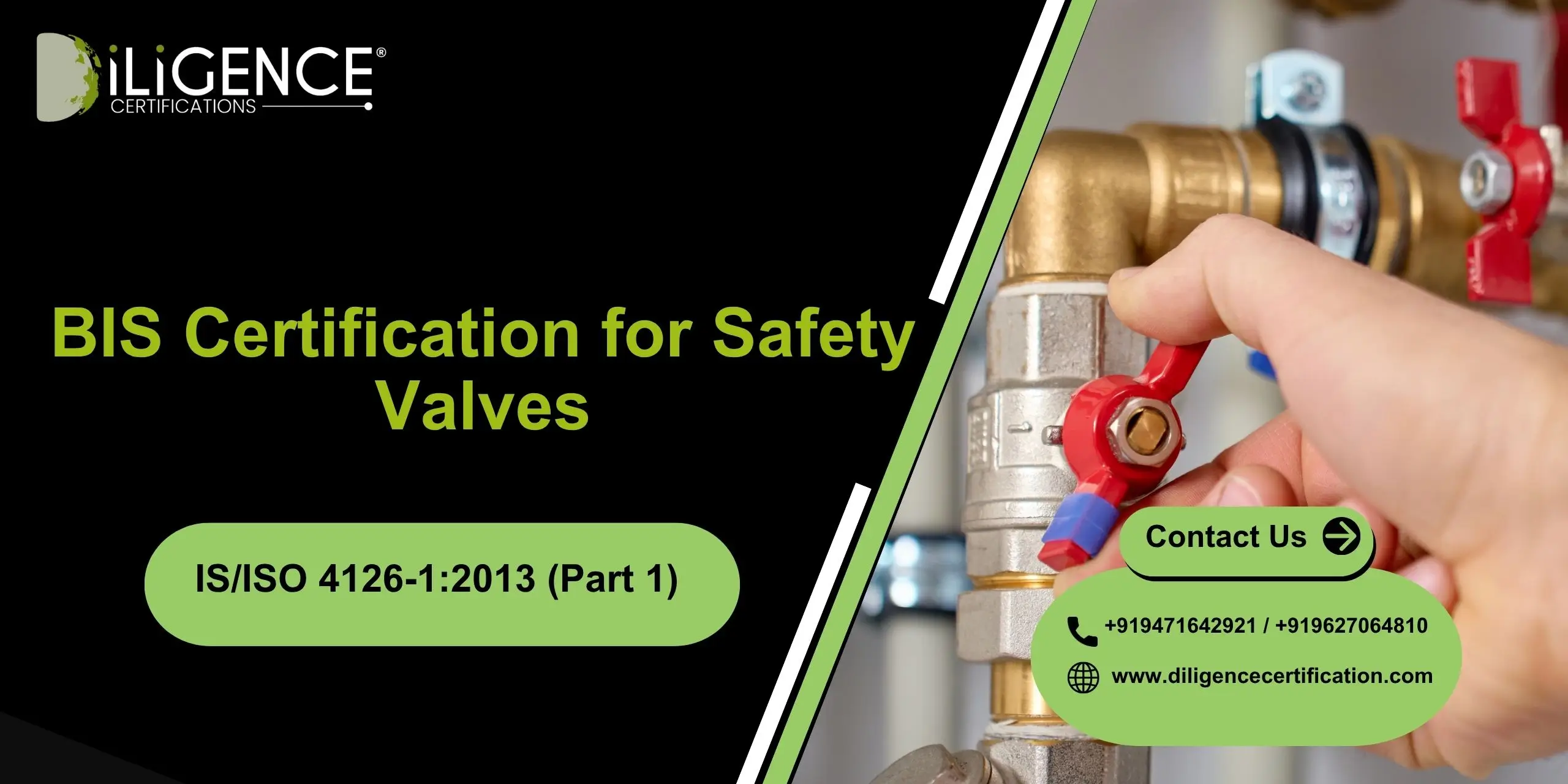 BIS for Safety Valves