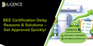 BEE Certification Delay Reasons