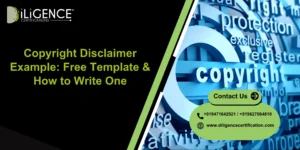 Copyright Disclaimer Example