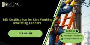 BIS for Insulating Ladders