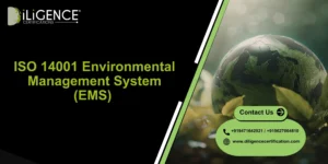 ISO 14001 Environmental