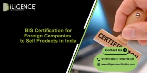 BIS for Foreign Companies