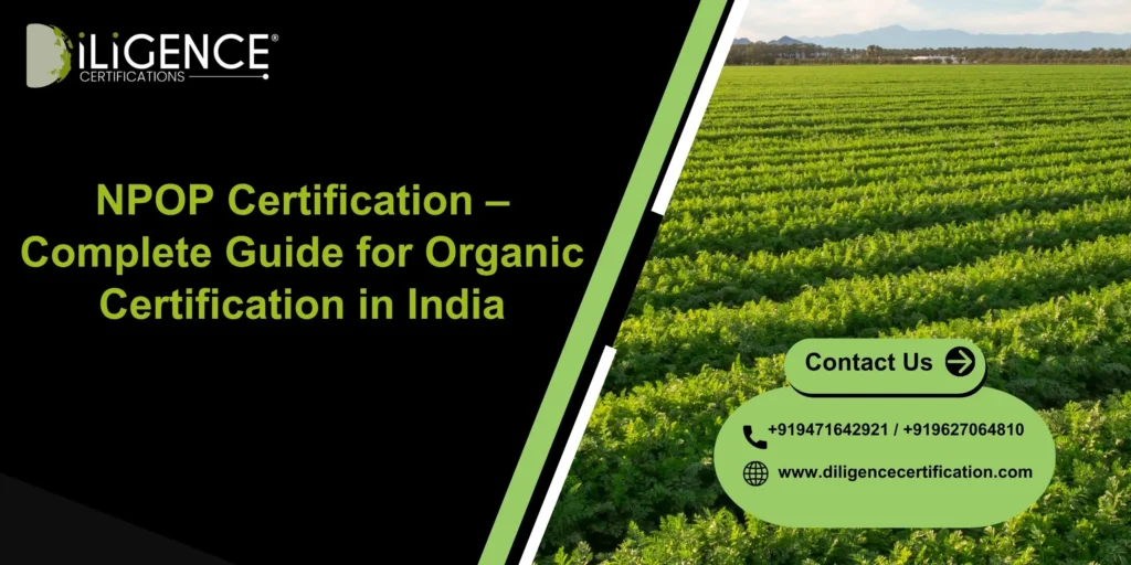 NPOP Certification – Complete Guide for Organic Certification in India