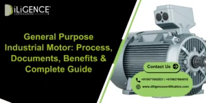 General Purpose Industrial Motor