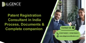 Patent Registration Consultant