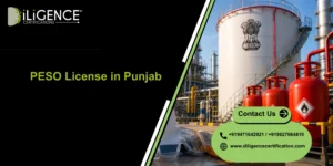 PESO License in Punjab consultant by Diligence Certification for petroleum, LPG, explosives, and safety compliance approval services.