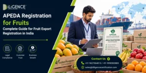 APEDA Registration for Fruits banner with fruit exporter, fresh fruits, cargo ship, and export certification in India