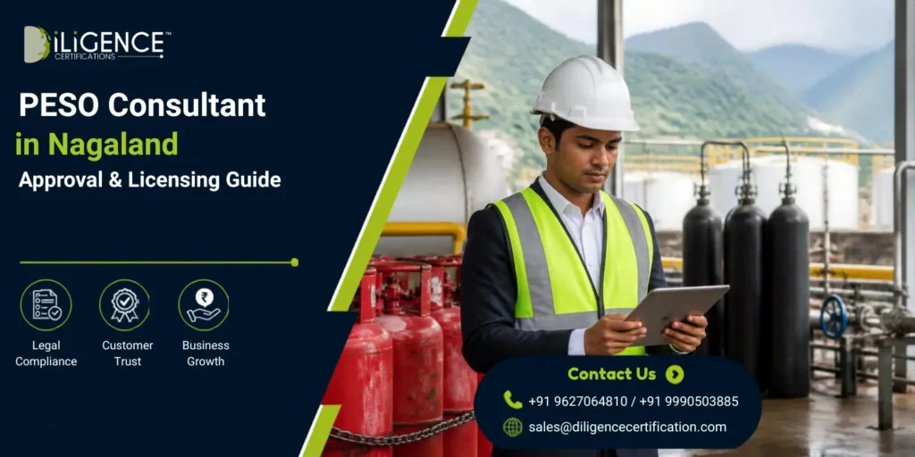 PESO Consultant in Nagaland reviewing industrial compliance documents