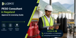 PESO Consultant in Nagaland reviewing industrial compliance documents