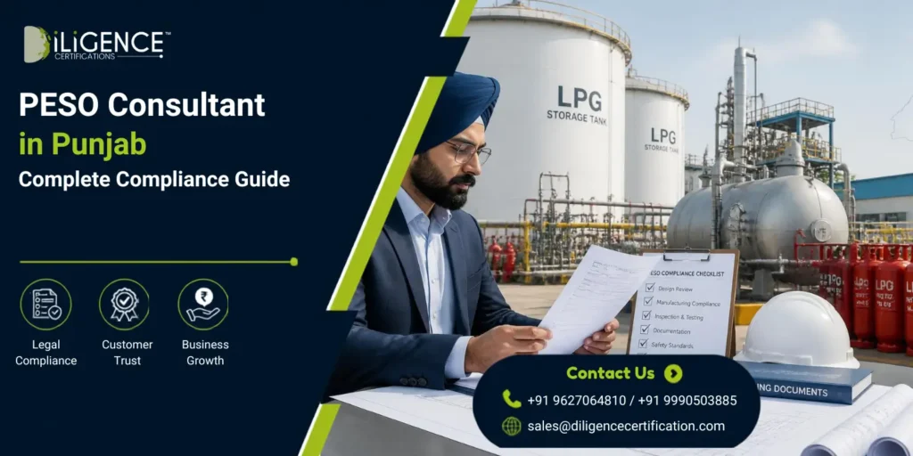 PESO Consultant in Punjab providing licensing and compliance support for an industrial facility