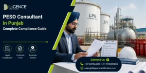 PESO Consultant in Punjab providing licensing and compliance support for an industrial facility